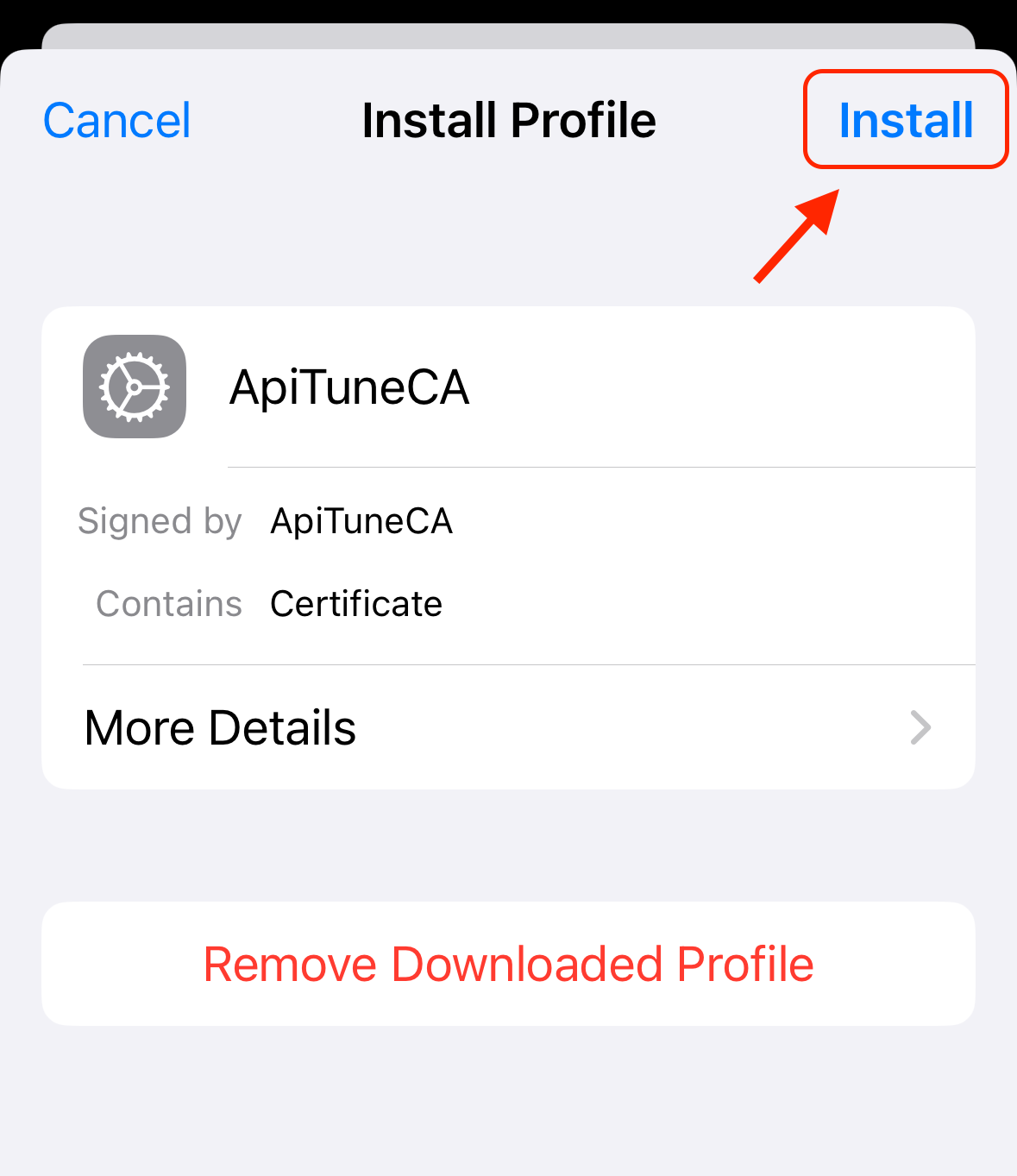 Install CA iOS